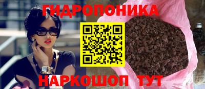 спиды Славгород