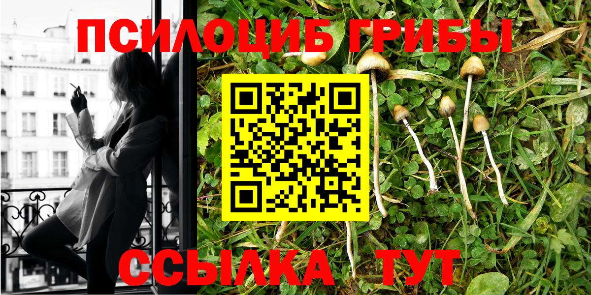 Псилоцибиновые грибы Psilocybe Нижневартовск